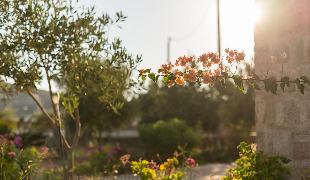 Villa Patmos Netia Skála Eksteriør bilde