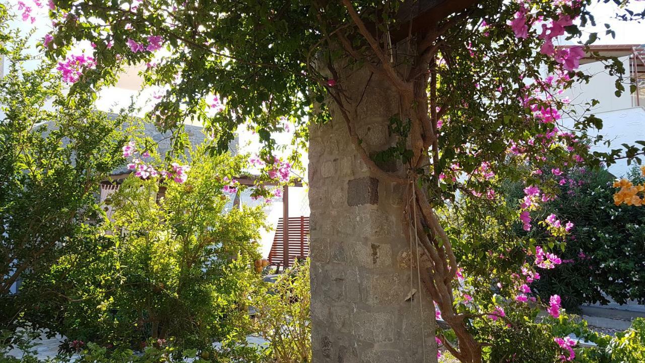 Villa Patmos Netia Skála Eksteriør bilde